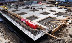 Vestibulum iaculis lacinia est